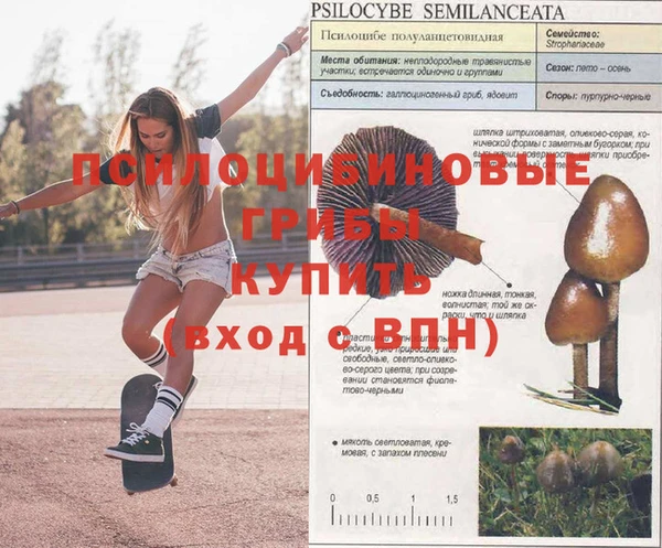 мяу мяу кристалл Бронницы